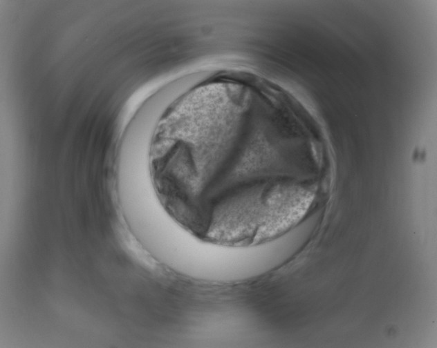 X0000113860960200910221438