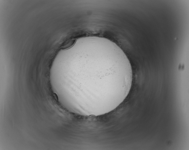 X0000113860961200910221437