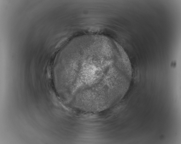 X0000113860962200910221437