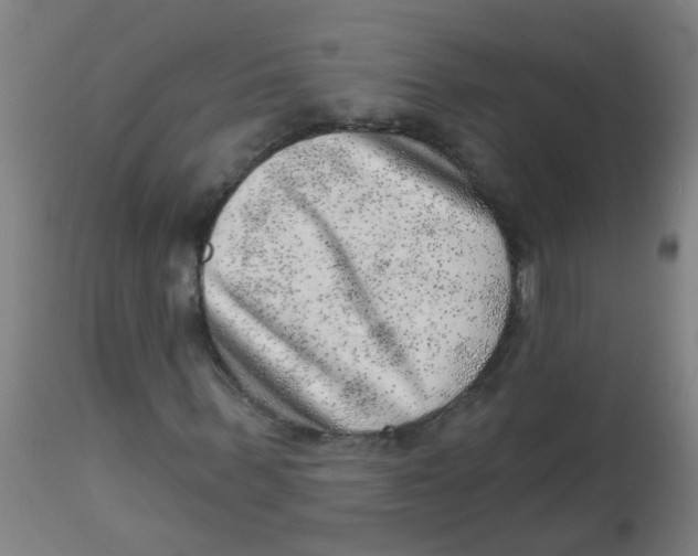 X0000113860963200910221437