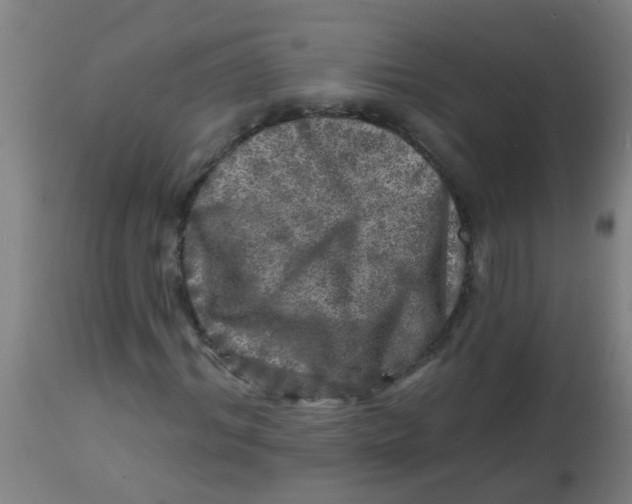 X0000113860964200910221437