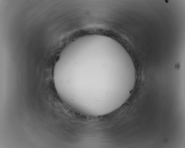 X0000113860965200910221437