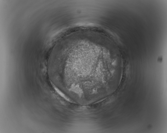 X0000113860966200910221437
