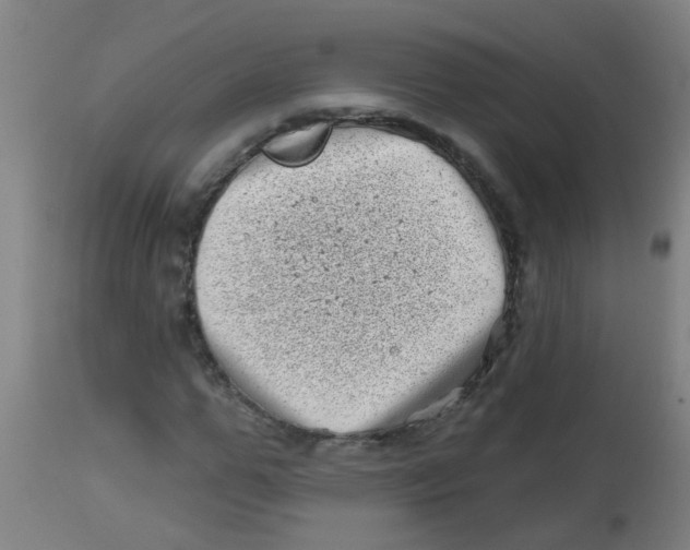 X0000113860967200910221437