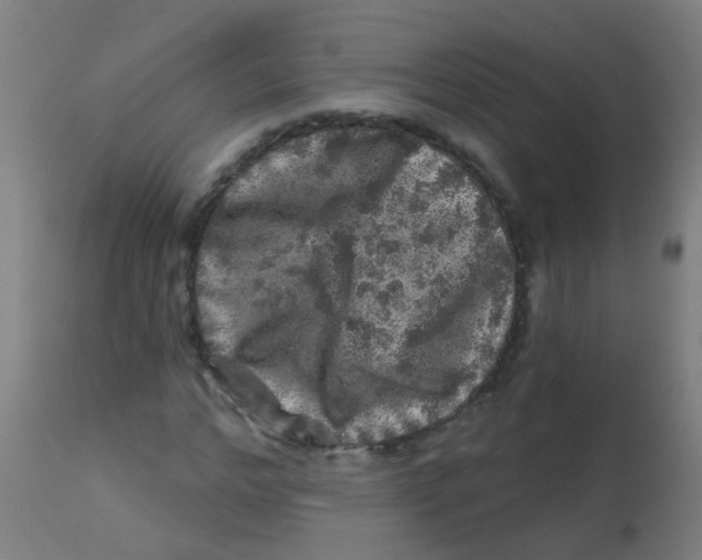X0000113860968200910221437