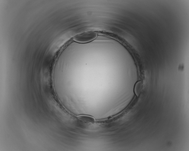 X0000113860969200910221437