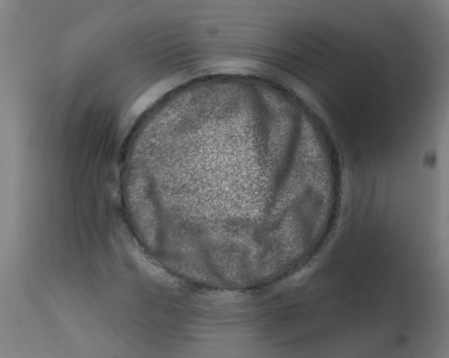 X0000113860970200910221437