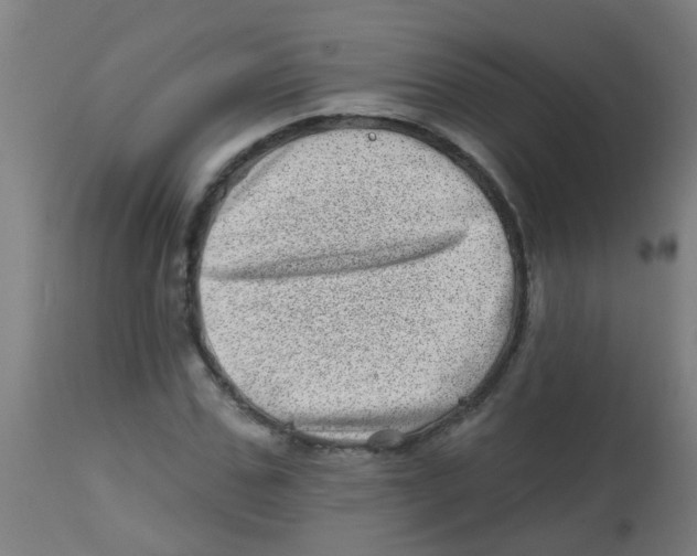 X0000113860971200910221437