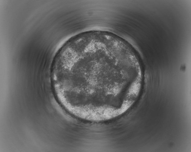 X0000113860972200910221437