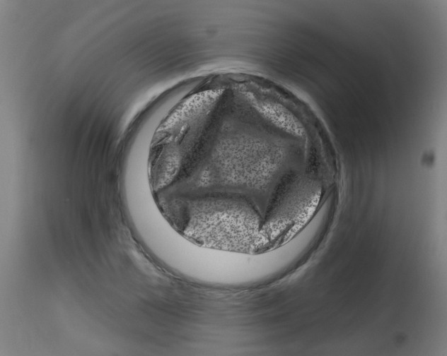 X0000113860973200910221437