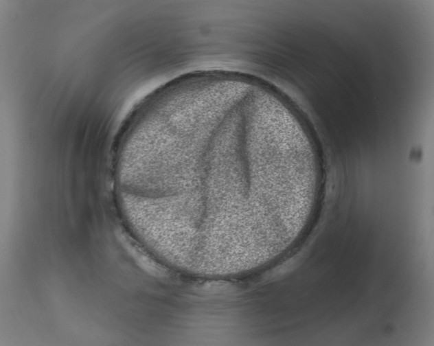X0000113860974200910221437