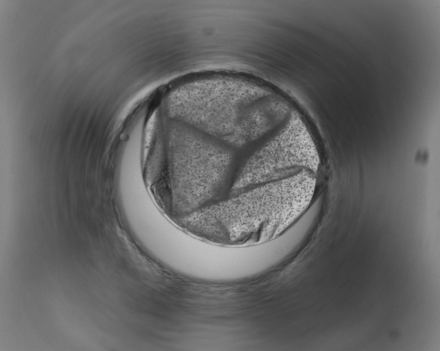 X0000113860975200910221437