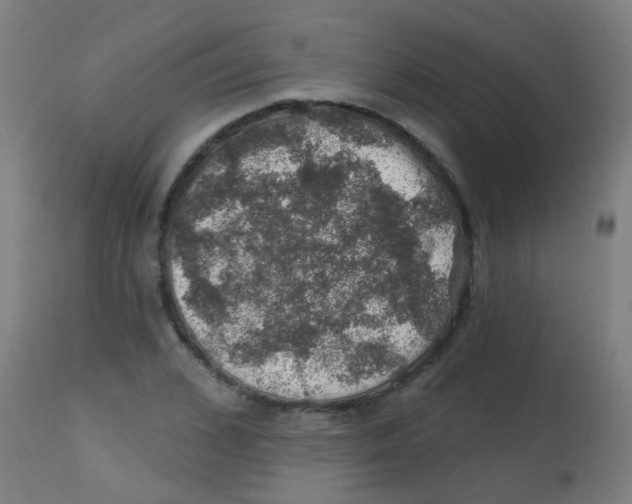 X0000113860976200910221437