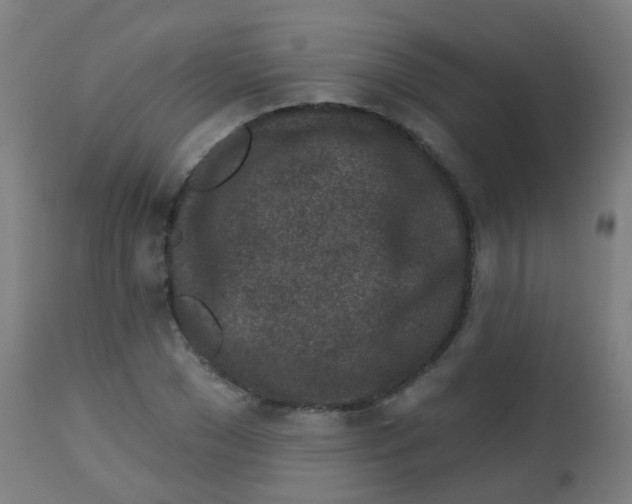X0000113860977200910221437