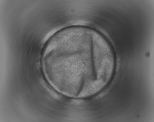 X0000113860978200910221437