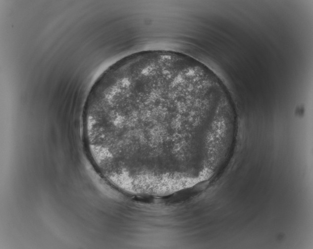 X0000113860980200910221437