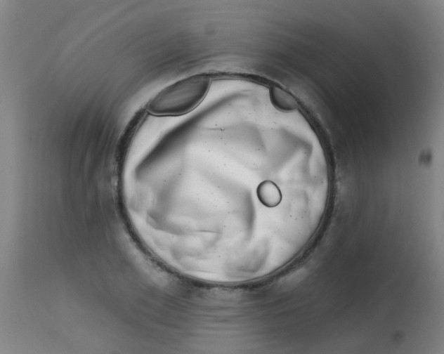 X0000113860981200910221437