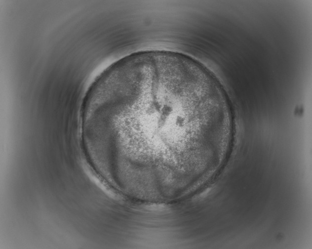 X0000113860982200910221437