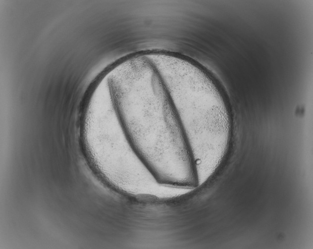 X0000113860983200910221437