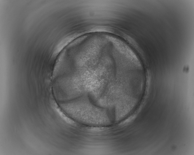 X0000113860985200910221437