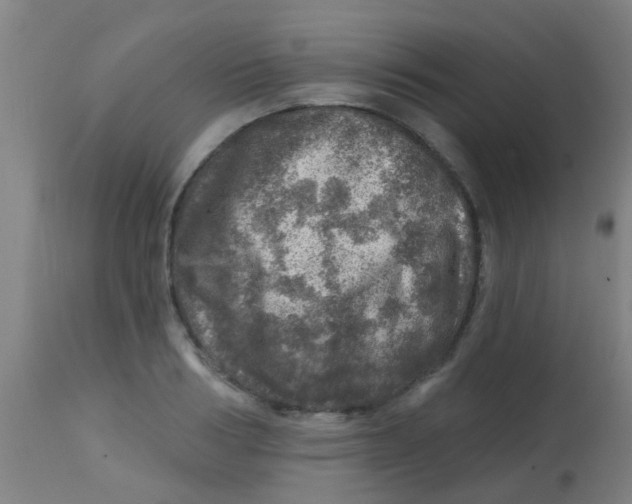 X0000113860986200910221437