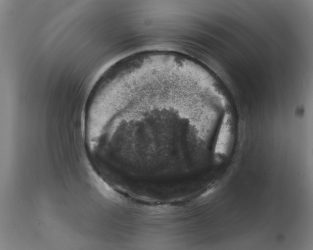 X0000113860988200910221437