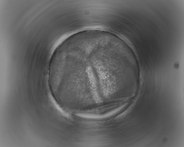 X0000113860989200910221437