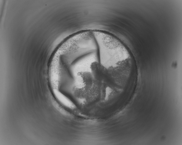 X0000113860990200910221437