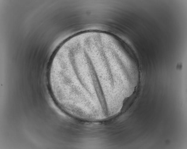 X0000113860991200910221437