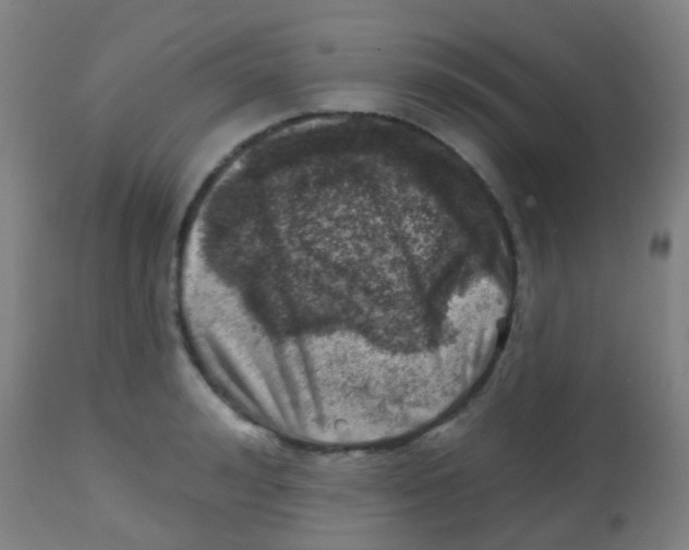 X0000113860992200910221437