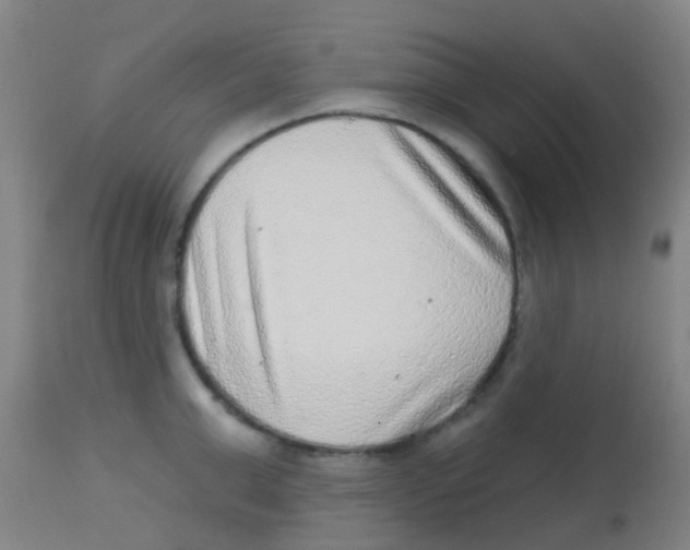 X0000113860999200910221437