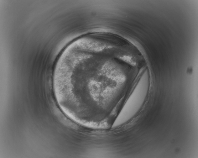 X0000113861000200910221437
