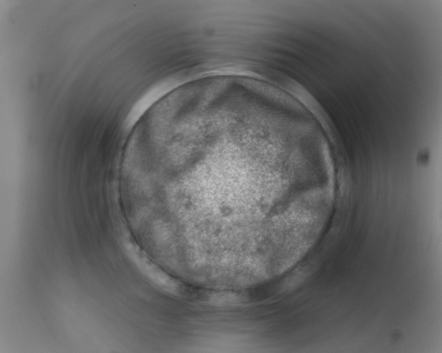 X0000113861002200910221437
