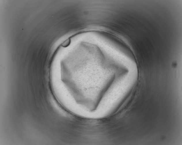 X0000113861003200910221437