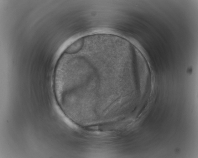 X0000113861005200910221437