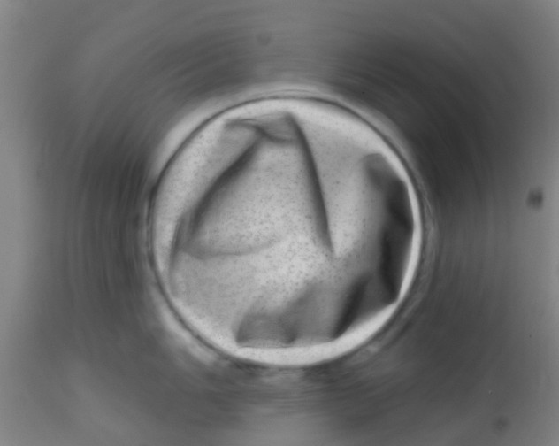 X0000113861006200910221437