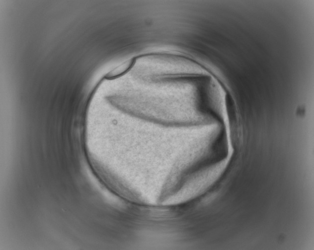 X0000113861007200910221437
