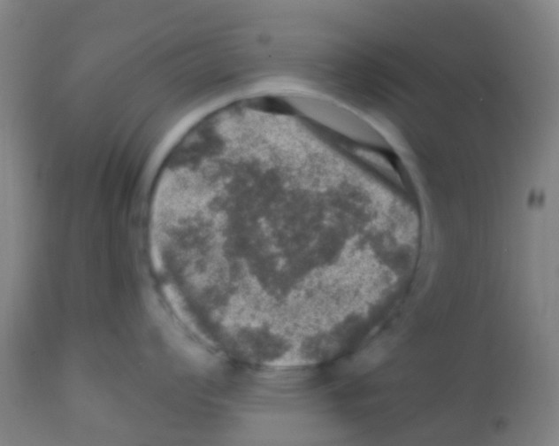 X0000113861008200910221437