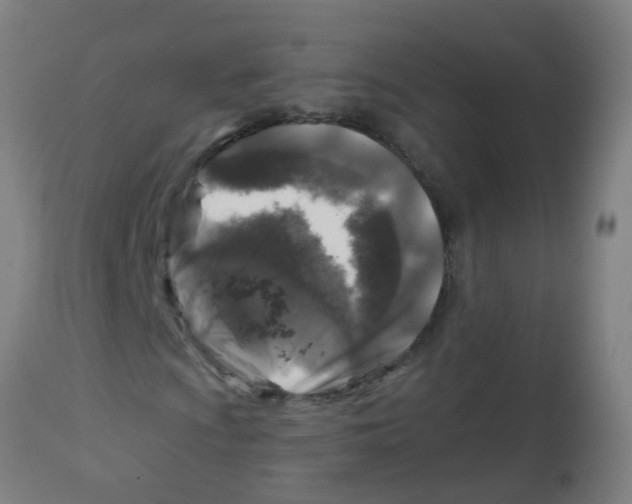 X0000113861009200910221436
