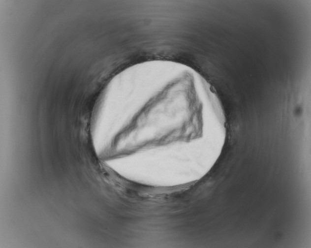X0000113861010200910221436