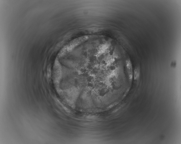 X0000113861011200910221436