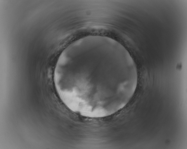 X0000113861013200910221436