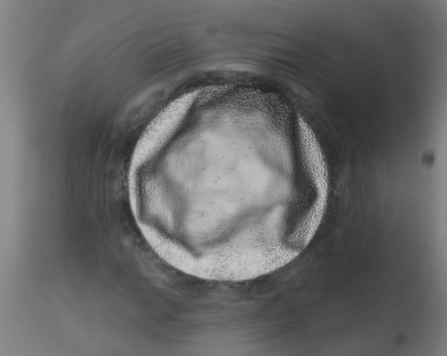 X0000113861014200910221436