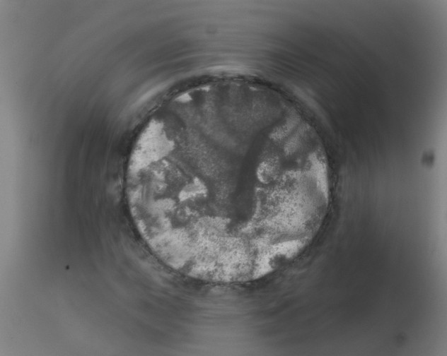 X0000113861015200910221436