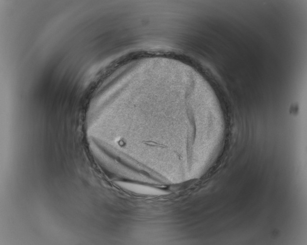 X0000113861016200910221436