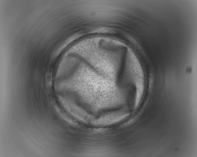 X0000113861017200910221436