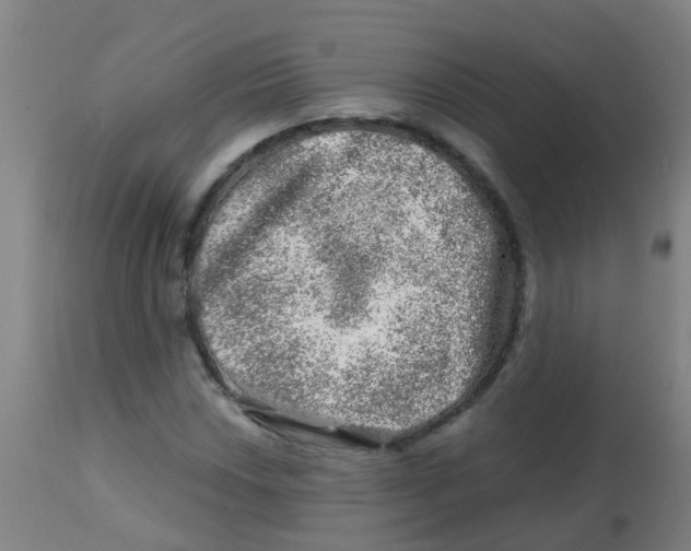 X0000113861018200910221436
