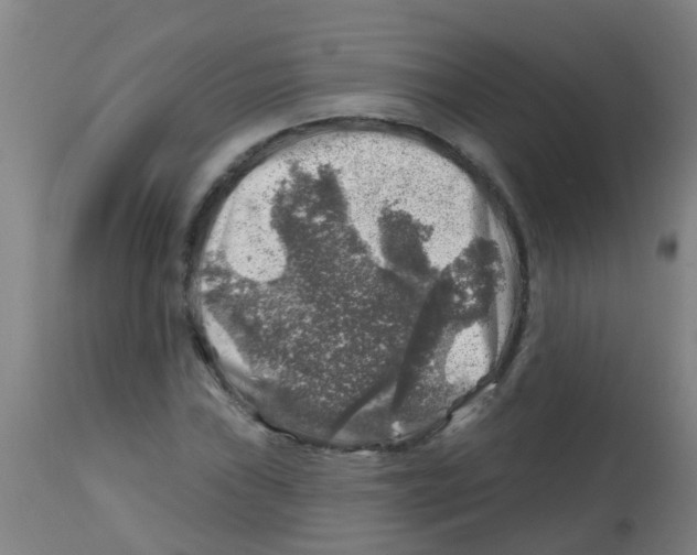 X0000113861019200910221436