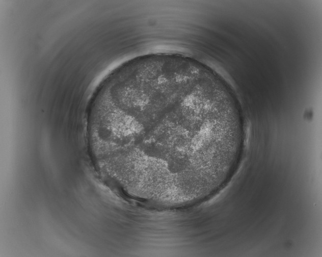 X0000113861021200910221436