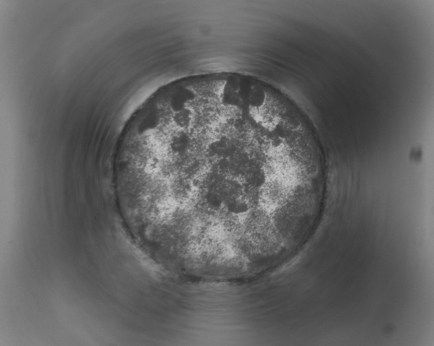X0000113861023200910221436